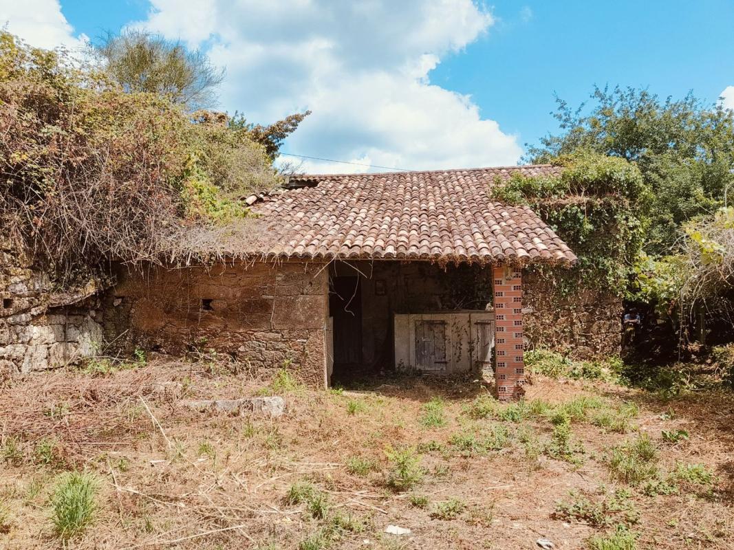 Propiedades en venta y alquiler en España photo 2