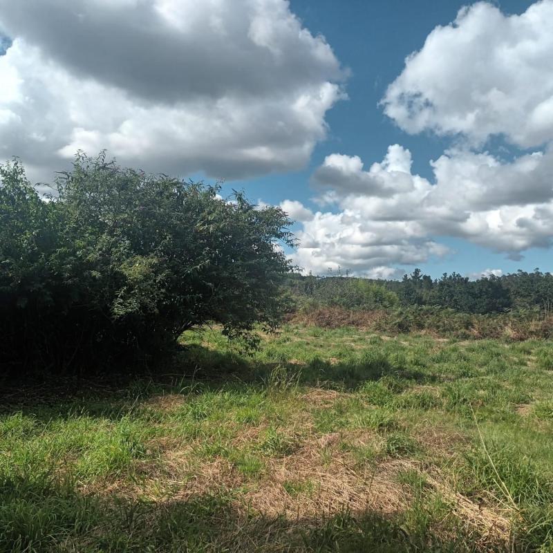 Недвижимость на продажу и в аренду в Испании photo 4