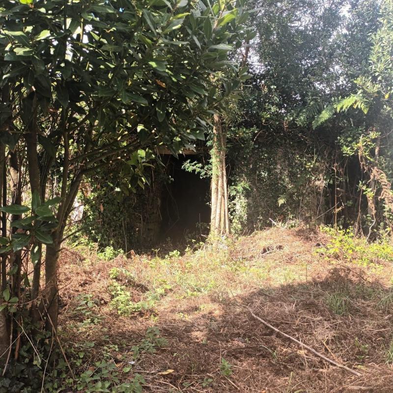 Недвижимость на продажу и в аренду в Испании photo 5