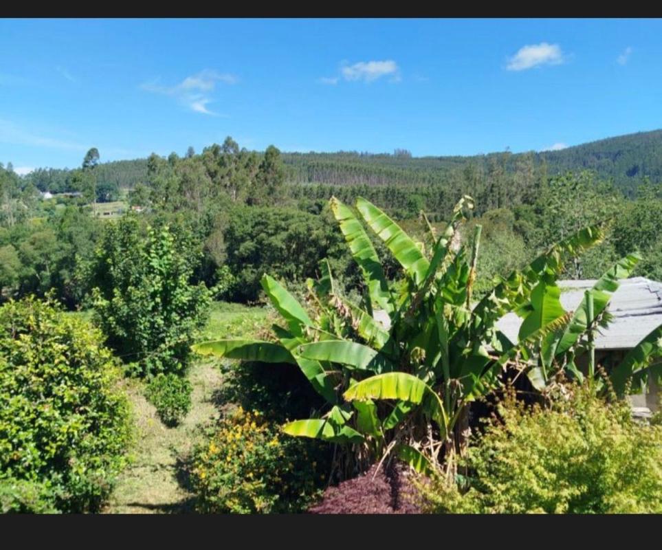 Venta de finca rústica en Finca rústica en a felgueira s/n, Cedeira , Cedeira photo 4