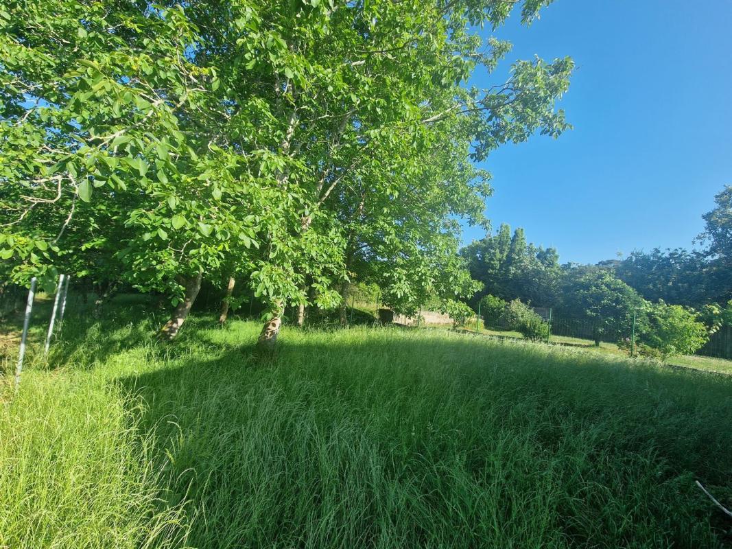 Недвижимость на продажу и в аренду в Испании photo 3