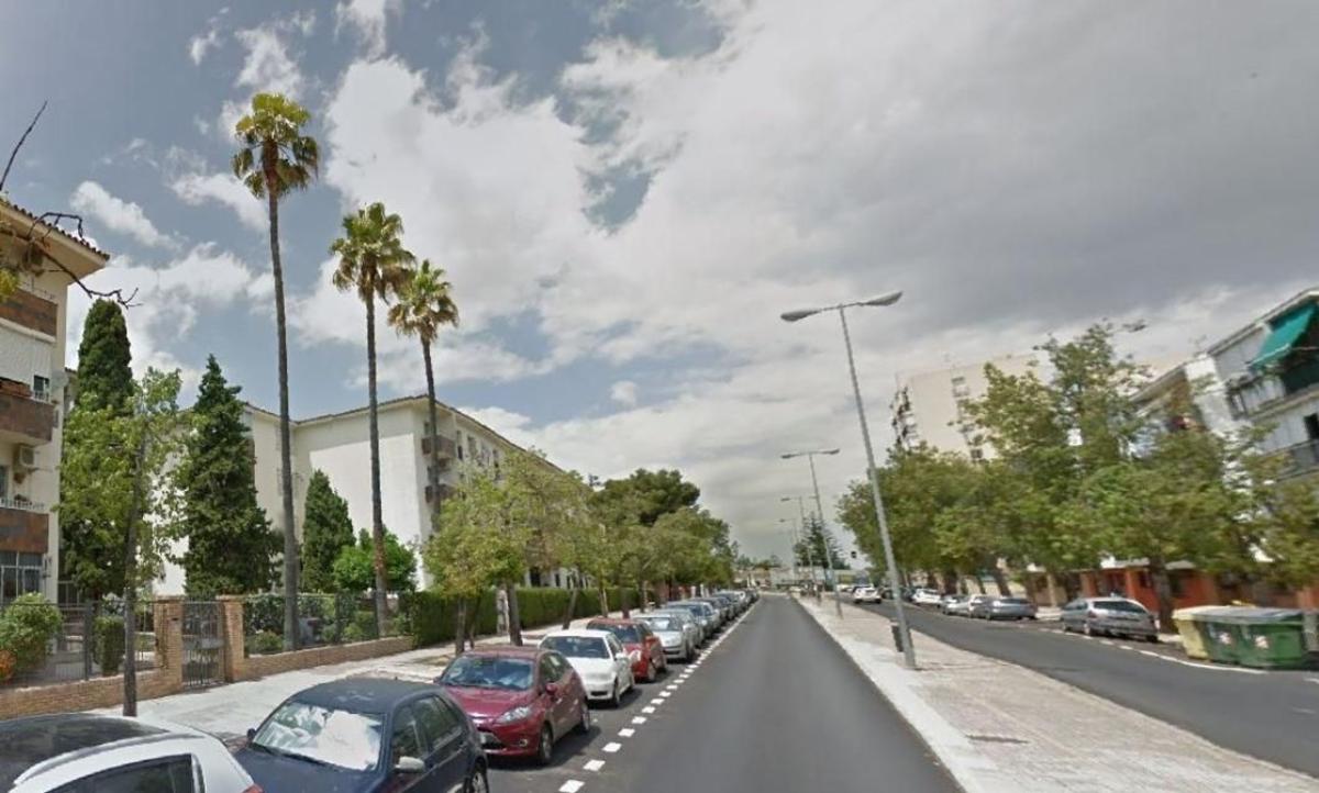 Venta de piso en Piso en Calle Federico García Lorca, Jerez Oeste, Jerez de la Frontera, Jerez de la Frontera
photo 5