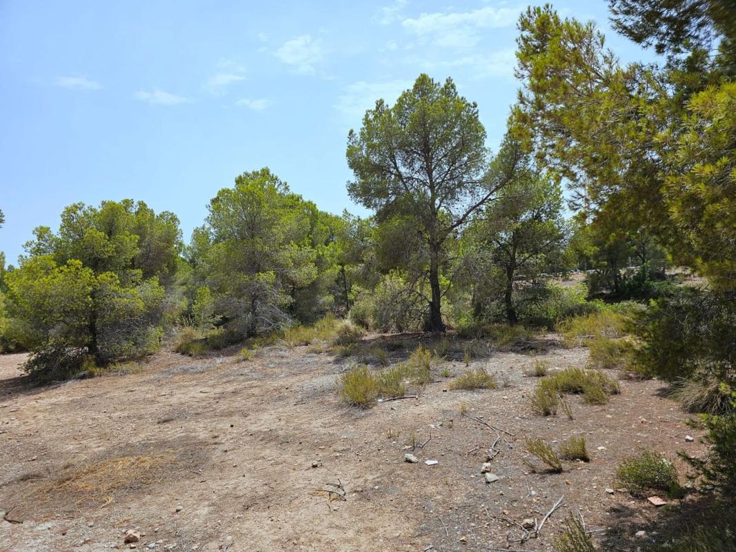 Terreno en venta en Finestrat, Alicante photo 1