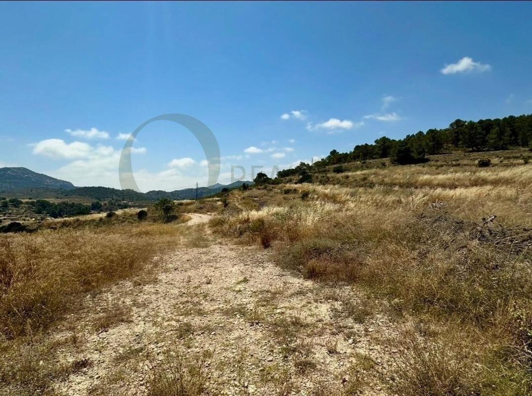 Terreno en venta en Tibi, Alicante photo 2