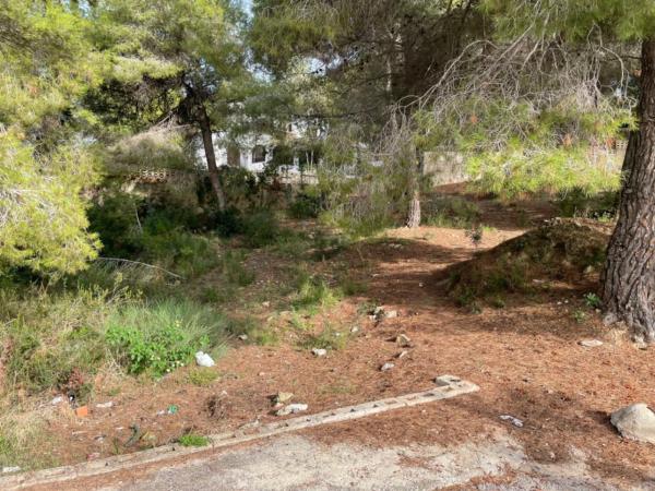 Terreno en El Portet-Pla del Mar, Moraira photo 3