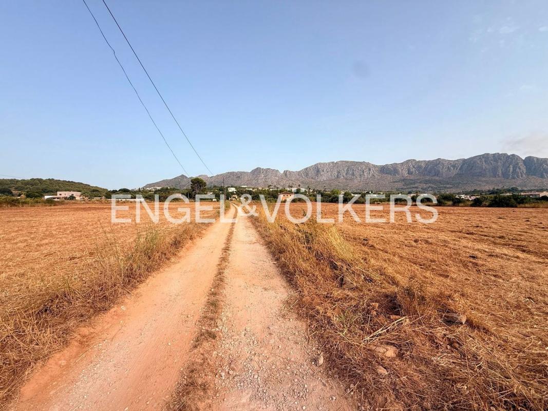 Land for sale in Beniarbeig, Alicante photo 4