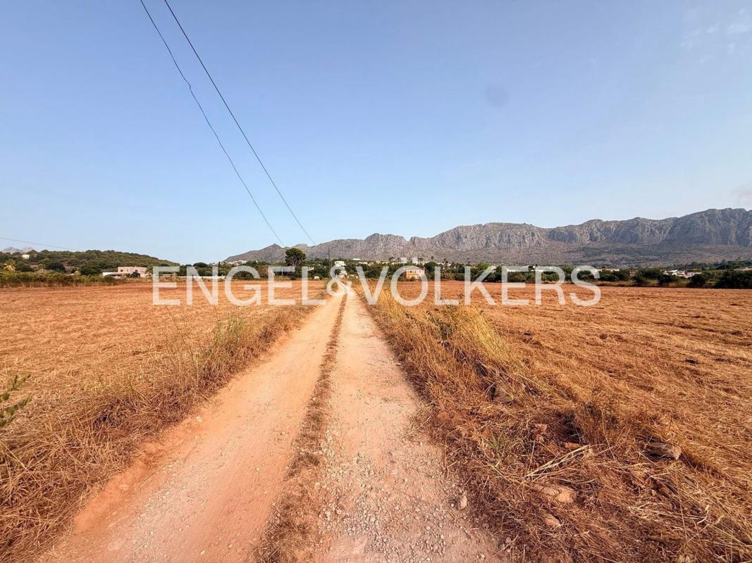 Land for sale in Beniarbeig, Alicante photo 5