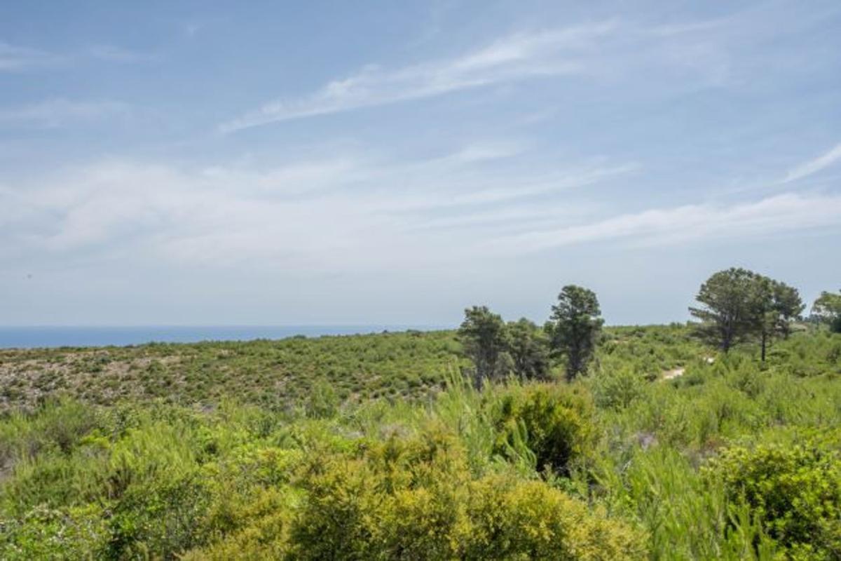 Terreno en venta en Jávea/Xàbia, Alicante photo 2