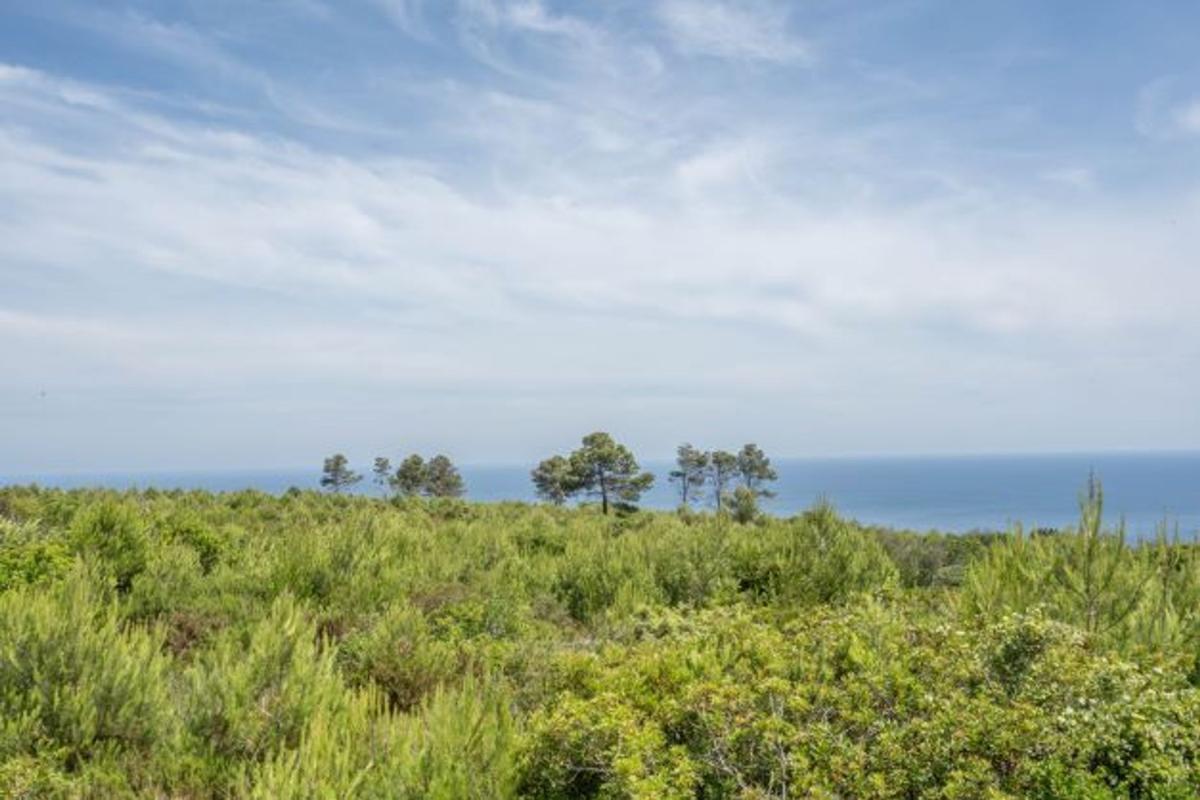 Terreno en venta en Jávea/Xàbia, Alicante photo 3