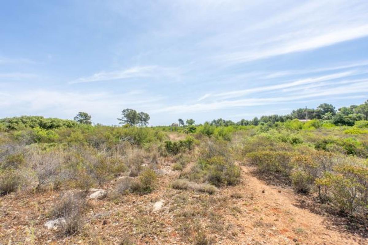 Terreno en venta en Jávea/Xàbia, Alicante photo 5