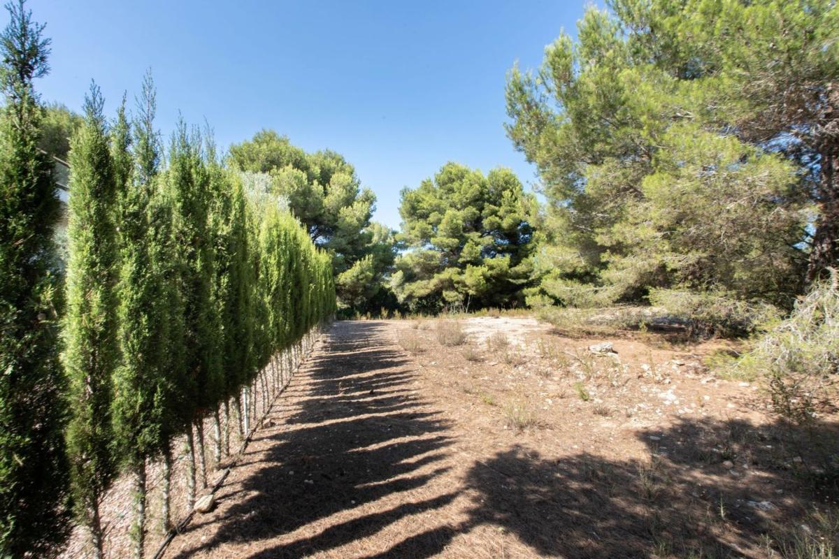 Działka na sprzedaż w Jávea/Xàbia, Alicante photo 3