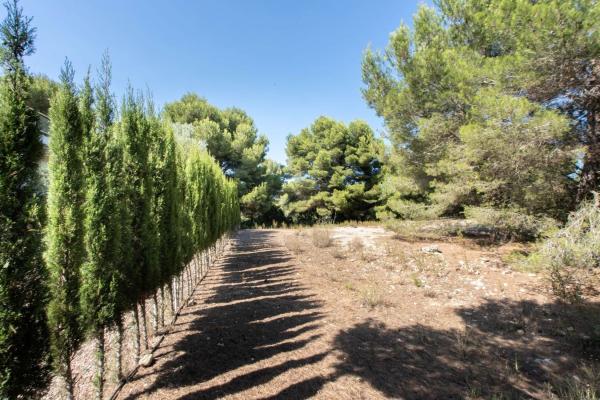 Terreno en Puerto, Jávea/Xàbia thumbnail 2