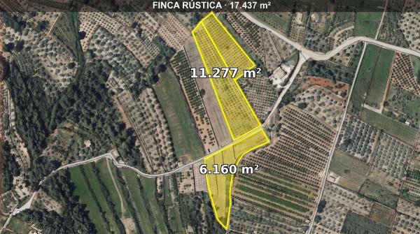 Terreno en Parcent photo 1
