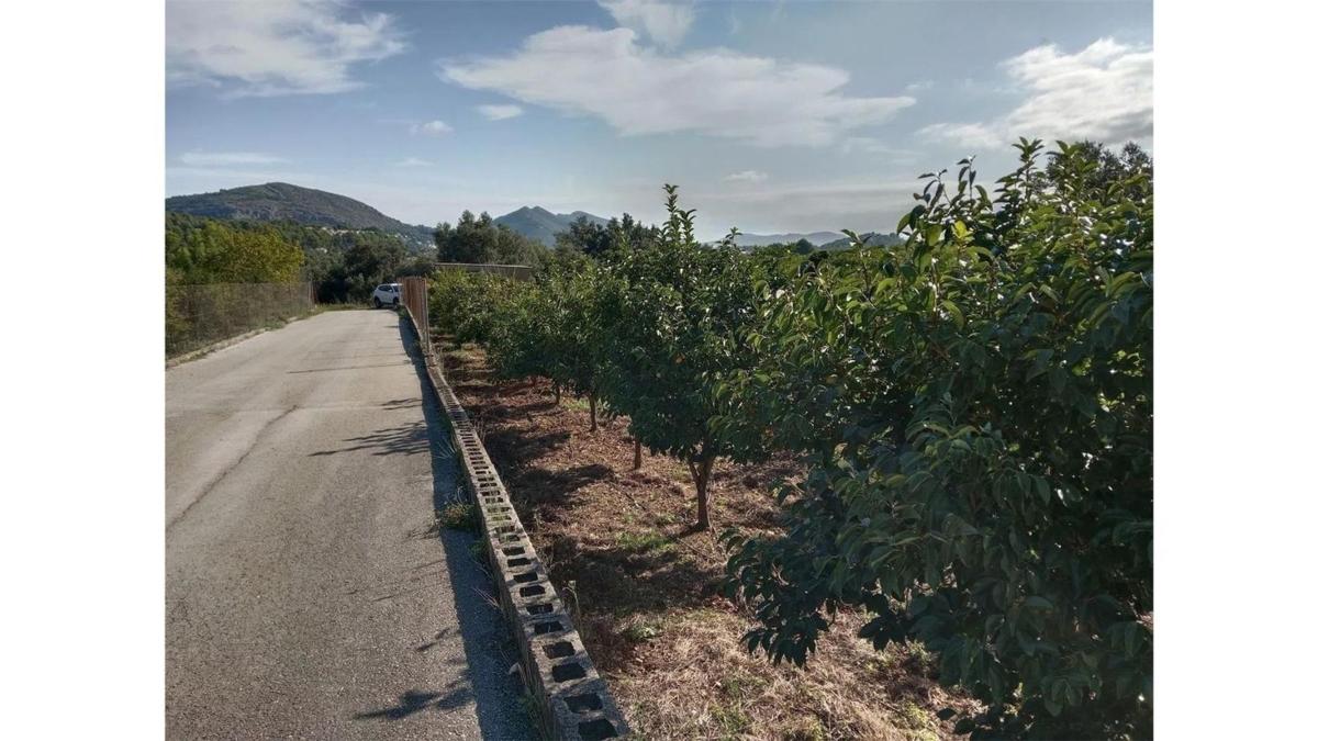 Działka na sprzedaż w Parcent, Alicante photo 4