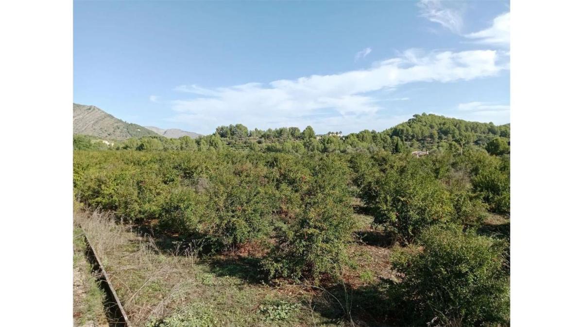 Działka na sprzedaż w Parcent, Alicante photo 5