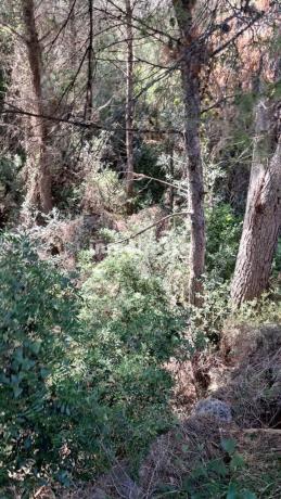 Terreno en Calle Capricornio, Montgó - Ermita, Jávea/Xàbia thumbnail 1