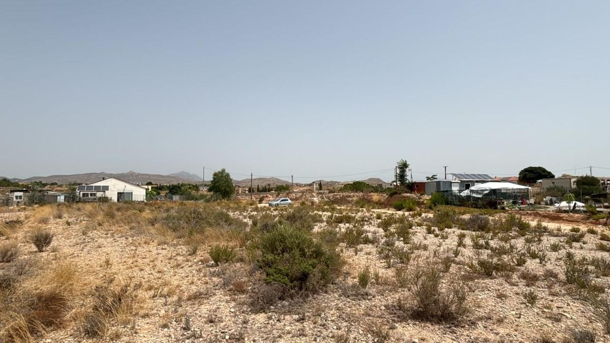 Land for sale in Moralet, Alicante photo 4