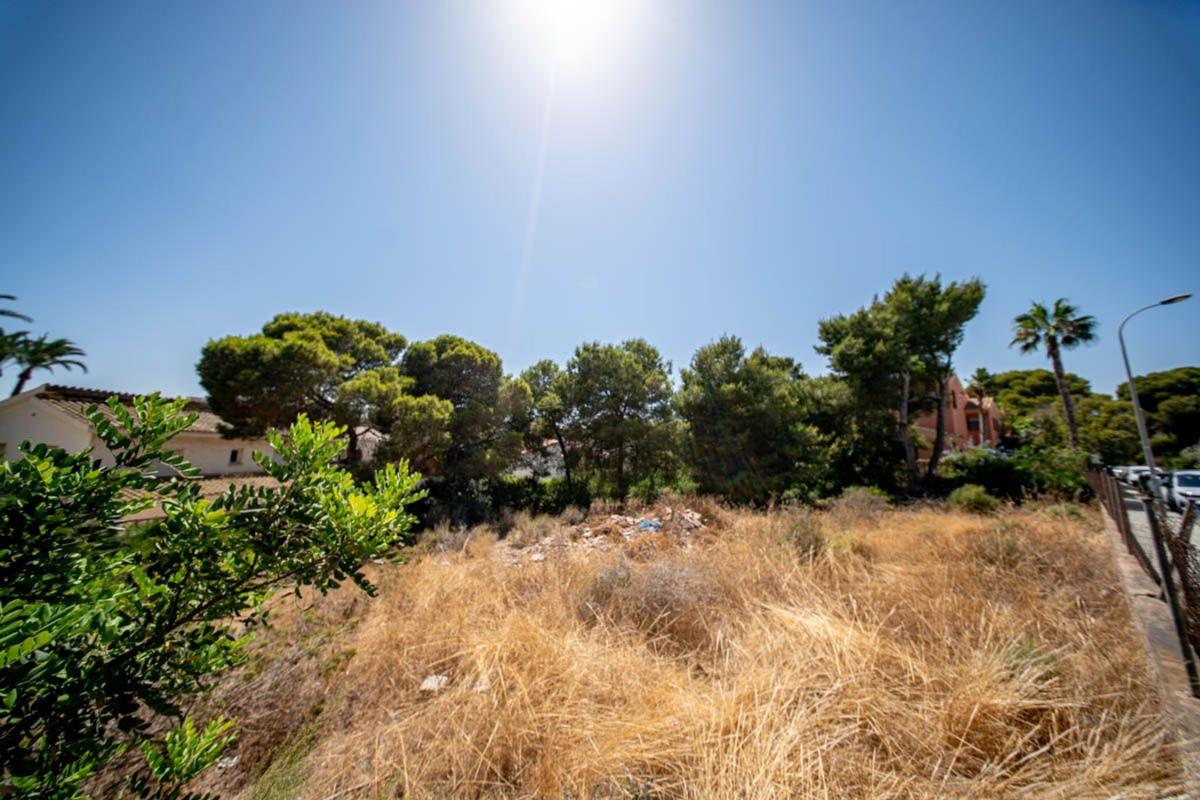 Terreno en venta en Orihuela, Alicante photo 3