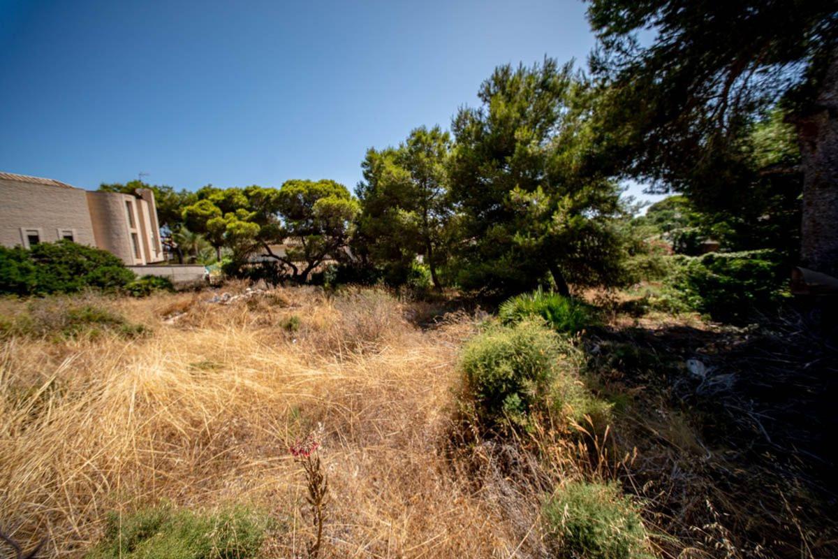 Terreno en venta en Orihuela, Alicante photo 5