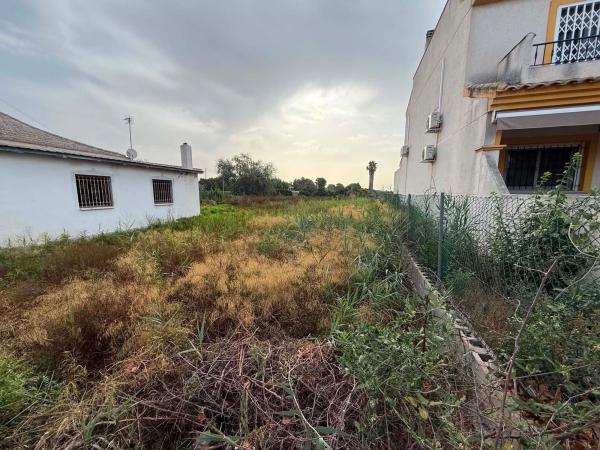 Terreno en Cv-902, Daya Nueva photo 2
