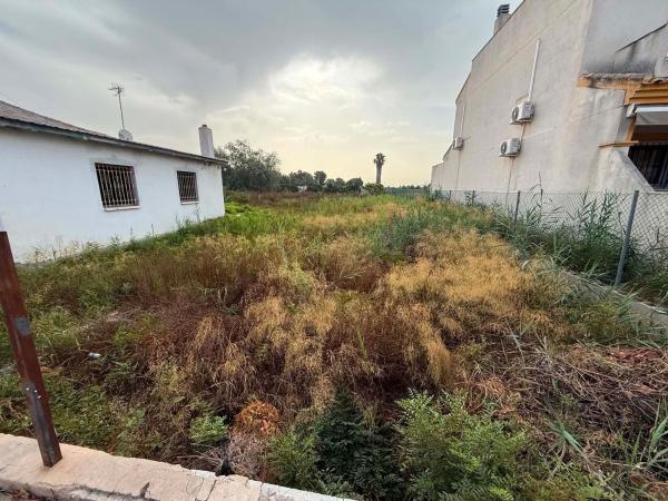Terreno en Cv-902, Daya Nueva photo 3