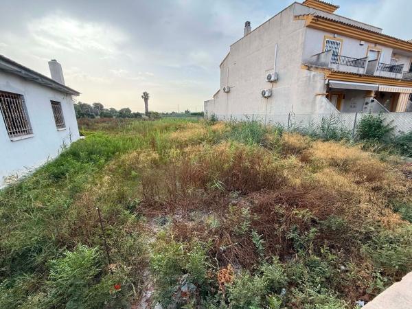 Terreno en Cv-902, Daya Nueva photo 4
