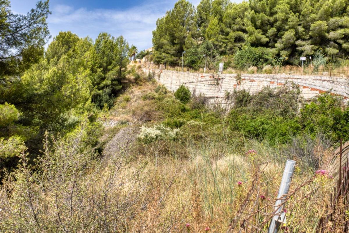 Land for sale in Jalón, Alicante photo 1