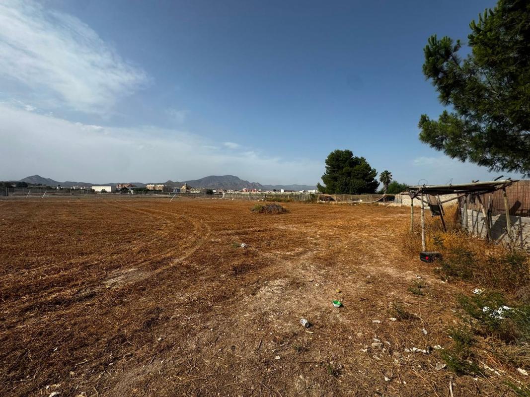 Terreno en venta en Monforte del Cid, Alicante photo 1