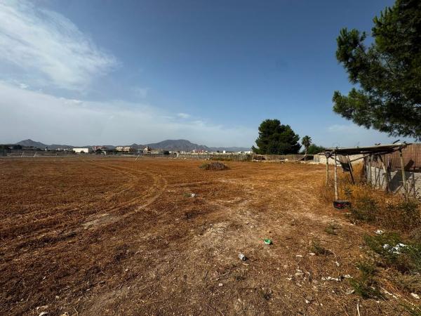 Terreno en Camino de Elche, 17, Monforte del Cid photo 1