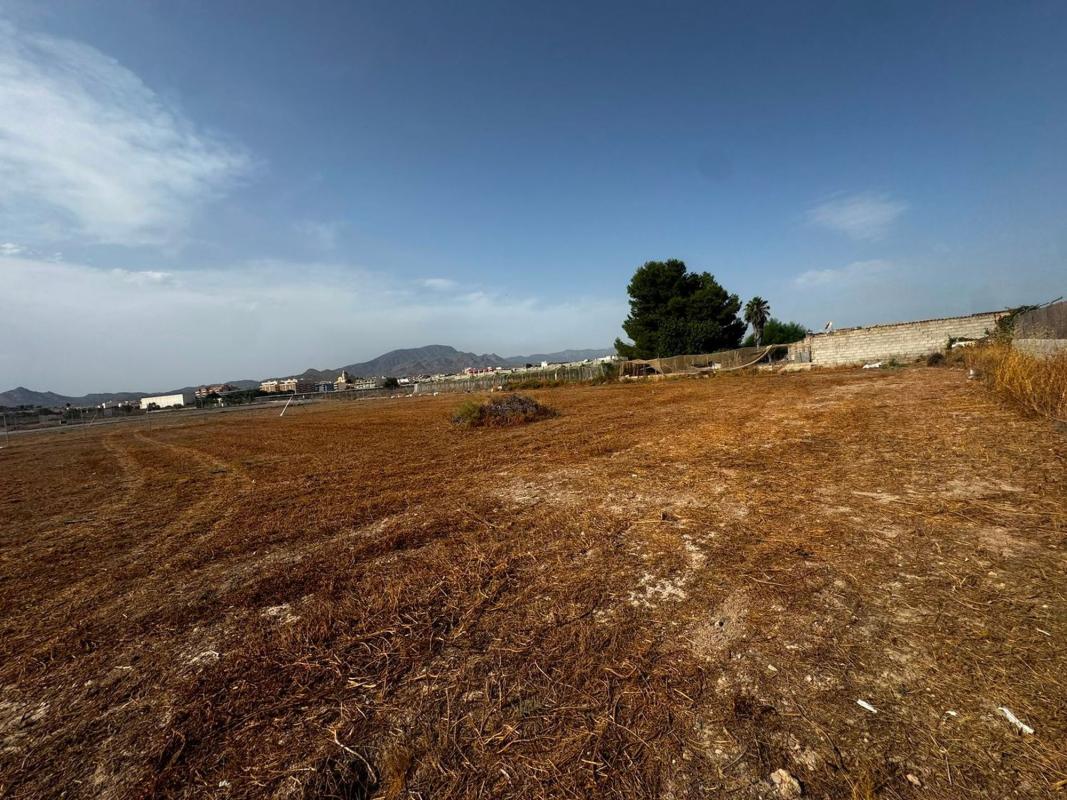 Terreno en venta en Monforte del Cid, Alicante photo 2