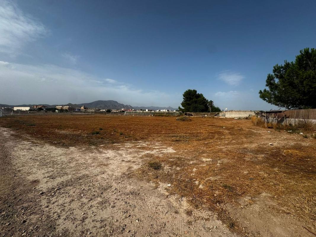 Terreno en venta en Monforte del Cid, Alicante photo 4