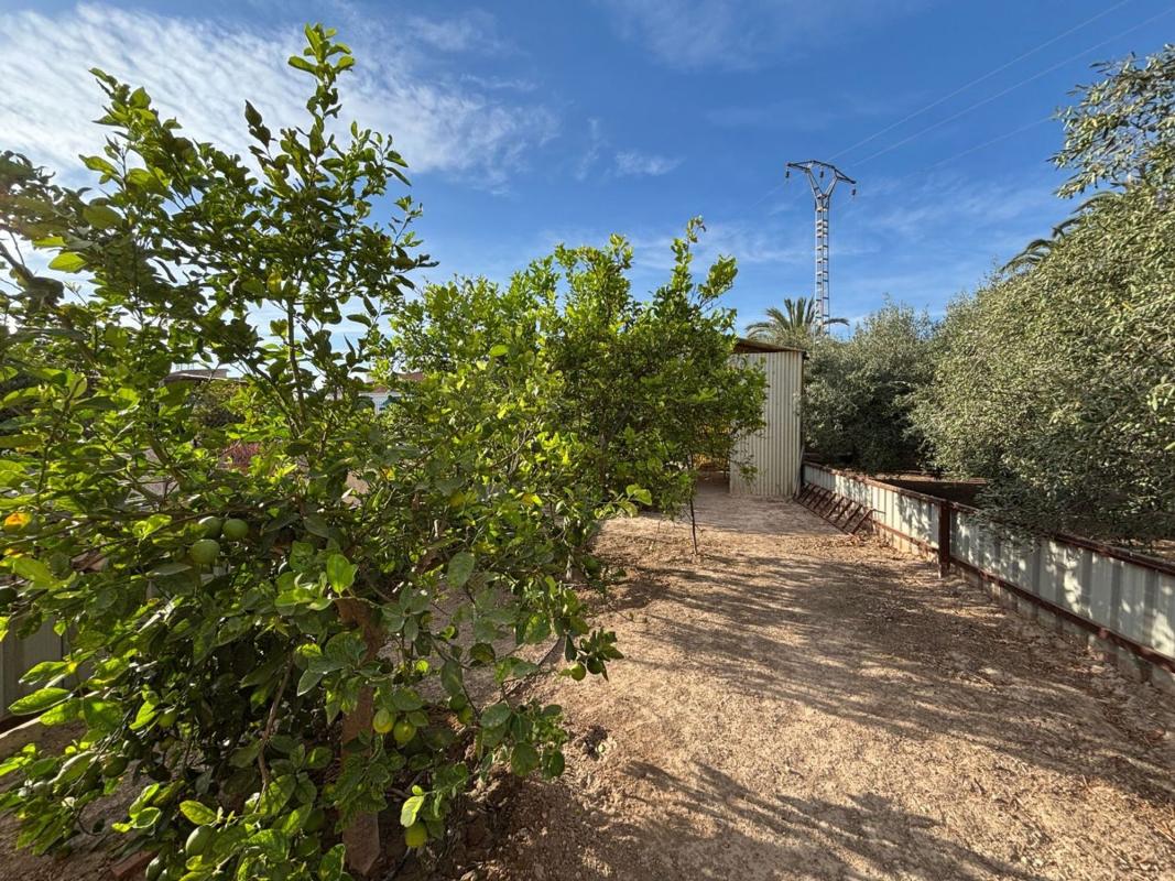 Land for sale in Elche / Elx, Alicante photo 3