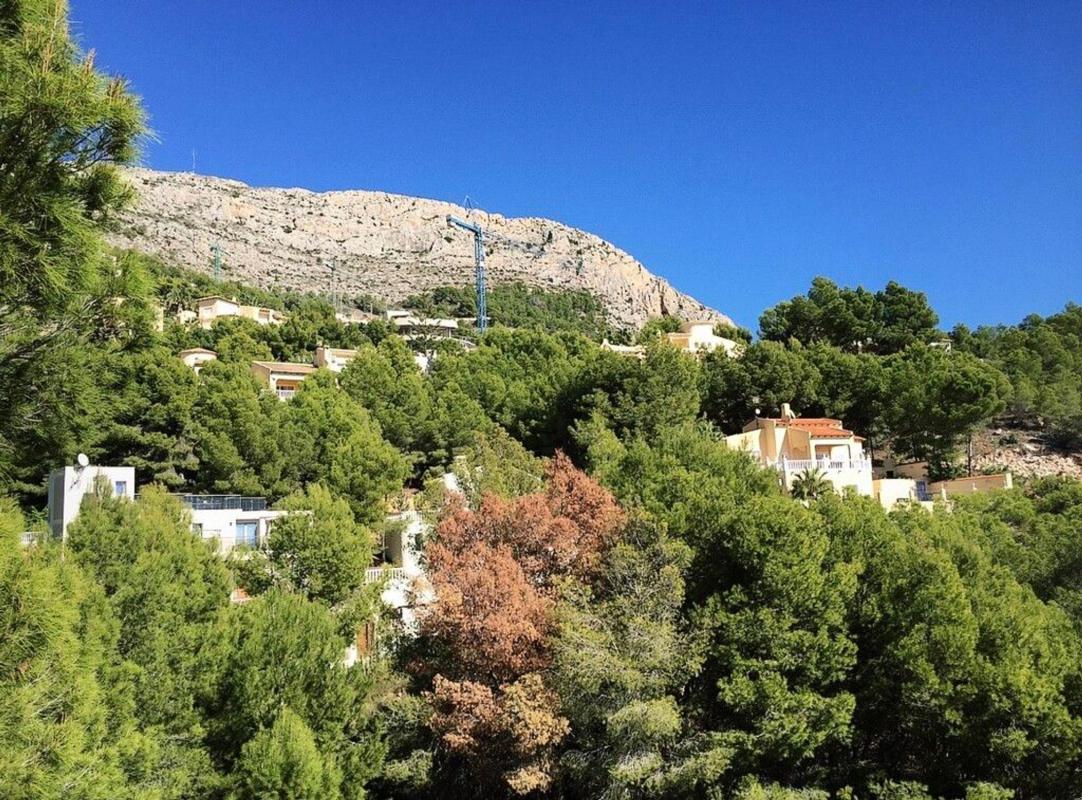 Land for sale in Altea, Alicante photo 3