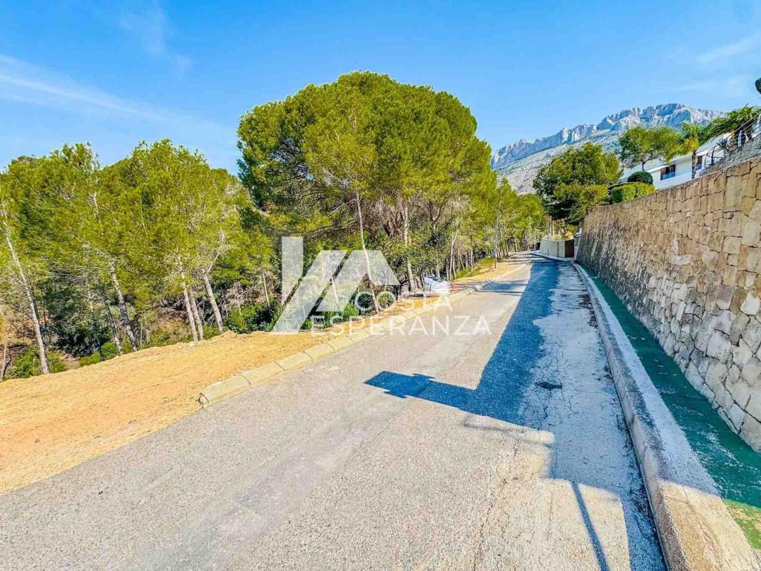 Land for sale in Altea, Alicante photo 3