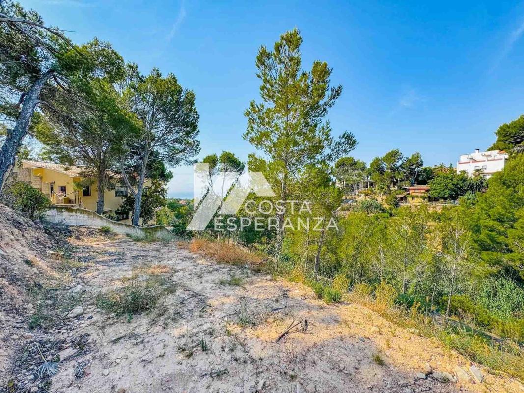 Land for sale in Altea, Alicante photo 5