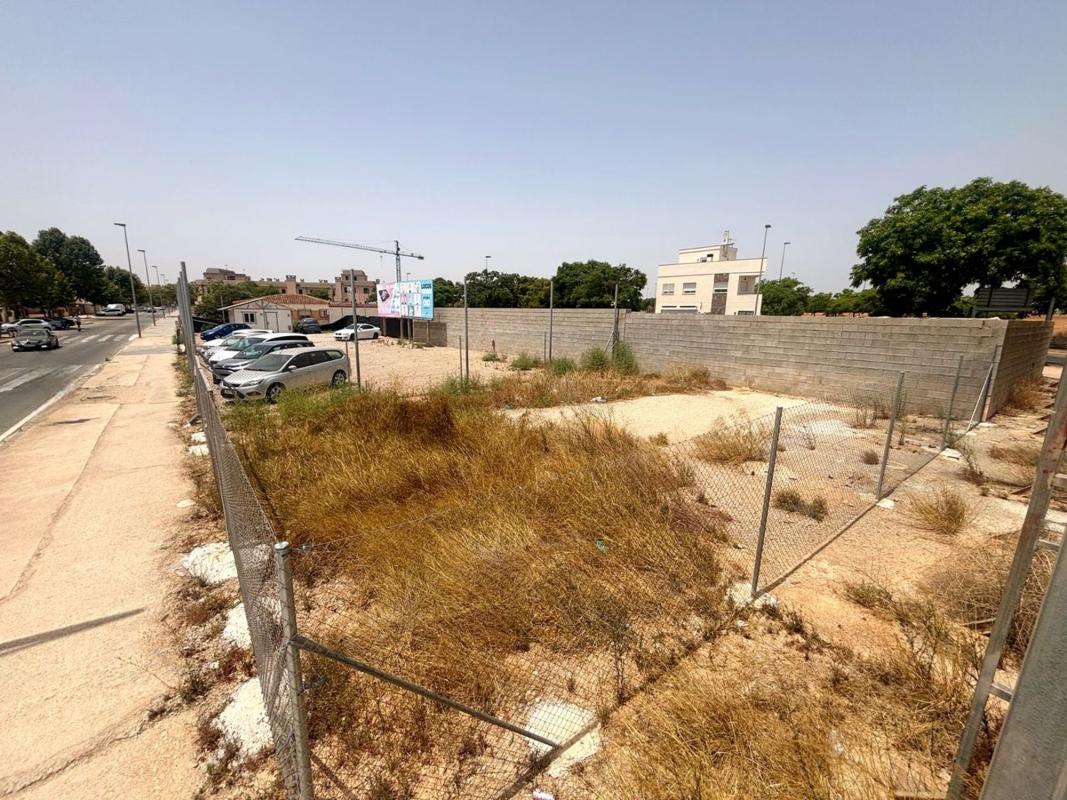 Działka na sprzedaż w Pilar de la Horadada, Alicante photo 3