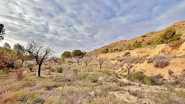 Terreno en Agost photo 1