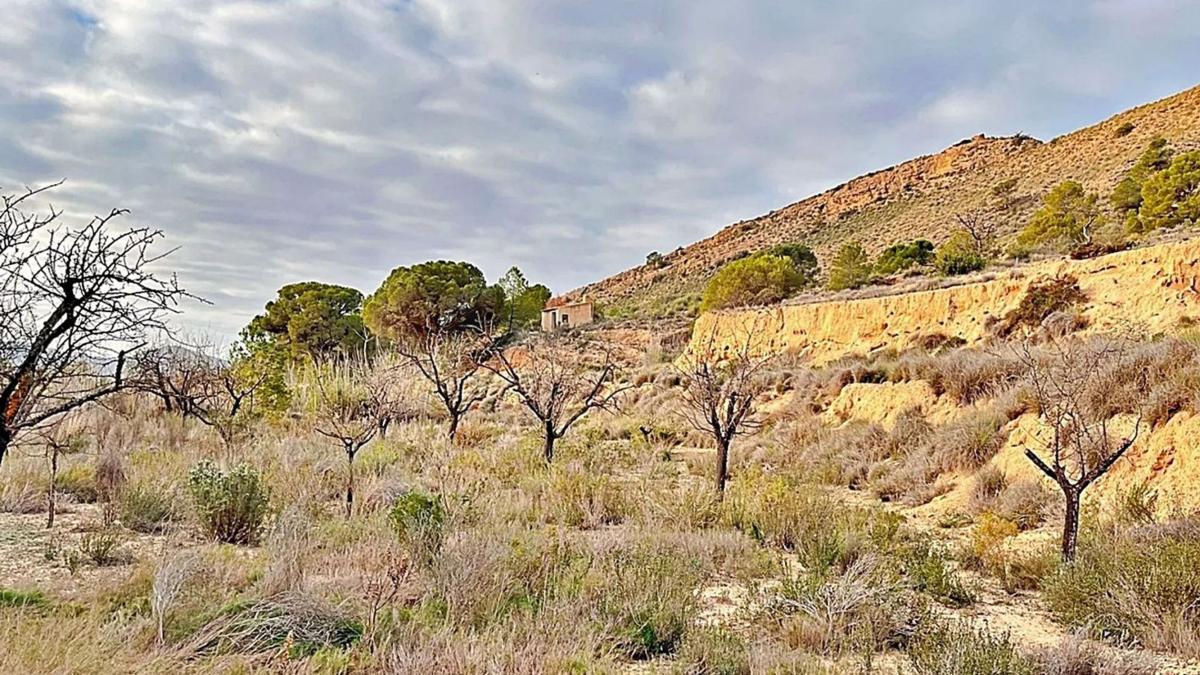 Land for sale in August, Alicante photo 2