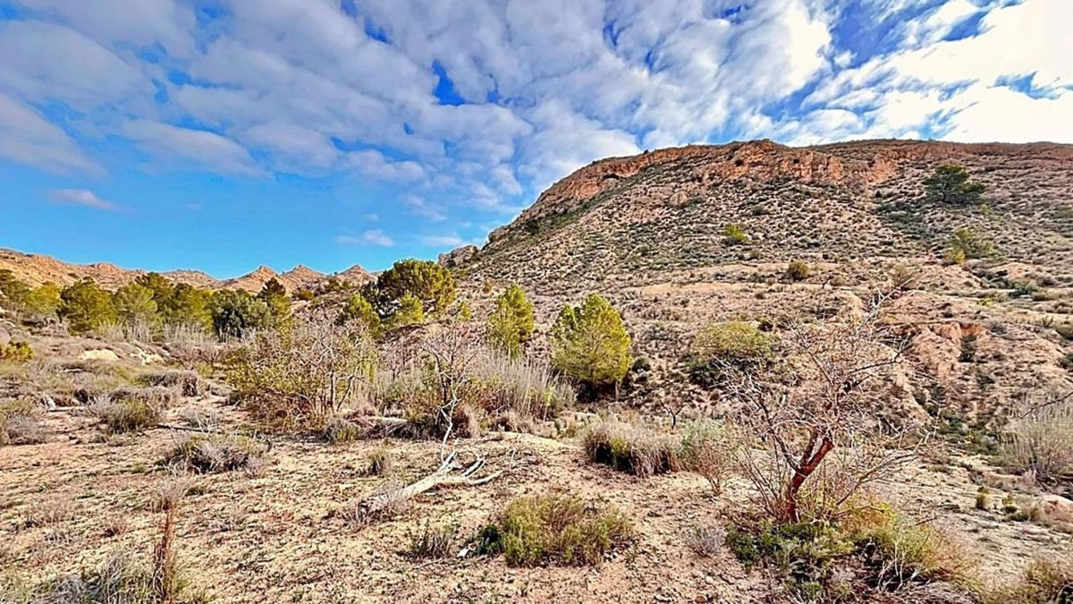 Land for sale in August, Alicante photo 4