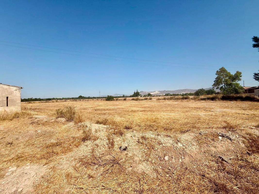 Terreno en venta en Orihuela, Alicante photo 3