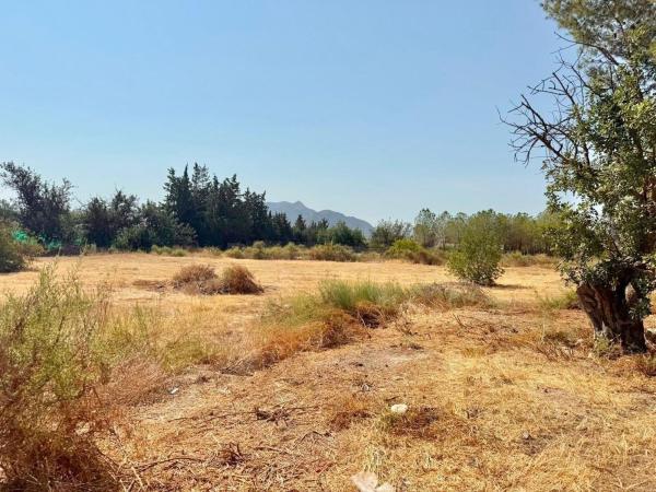 Terreno en Calle de los Campirulos, 1, La Murada-Los Vicentes, Orihuela photo 4