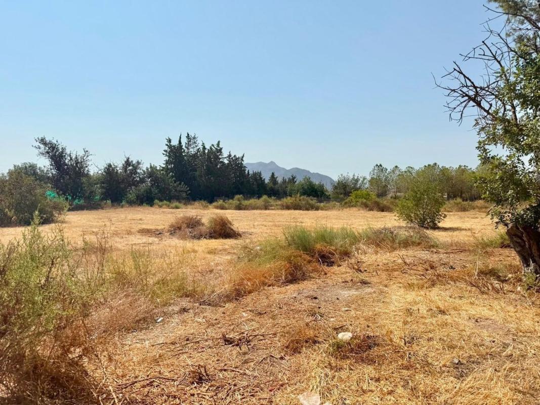 Terreno en venta en Orihuela, Alicante photo 5