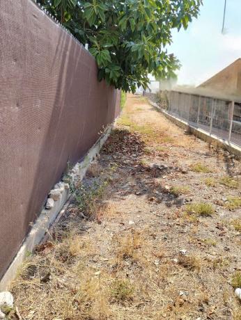 Terreno en Crevillente photo 2