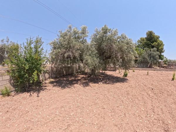 Terreno en Camino del Boronat, Villamontes-Boqueres, San Vicente del Raspeig photo 1