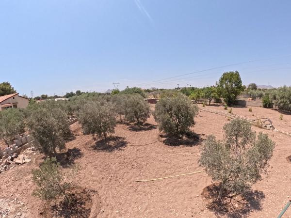 Terreno en Camino del Boronat, Villamontes-Boqueres, San Vicente del Raspeig photo 4
