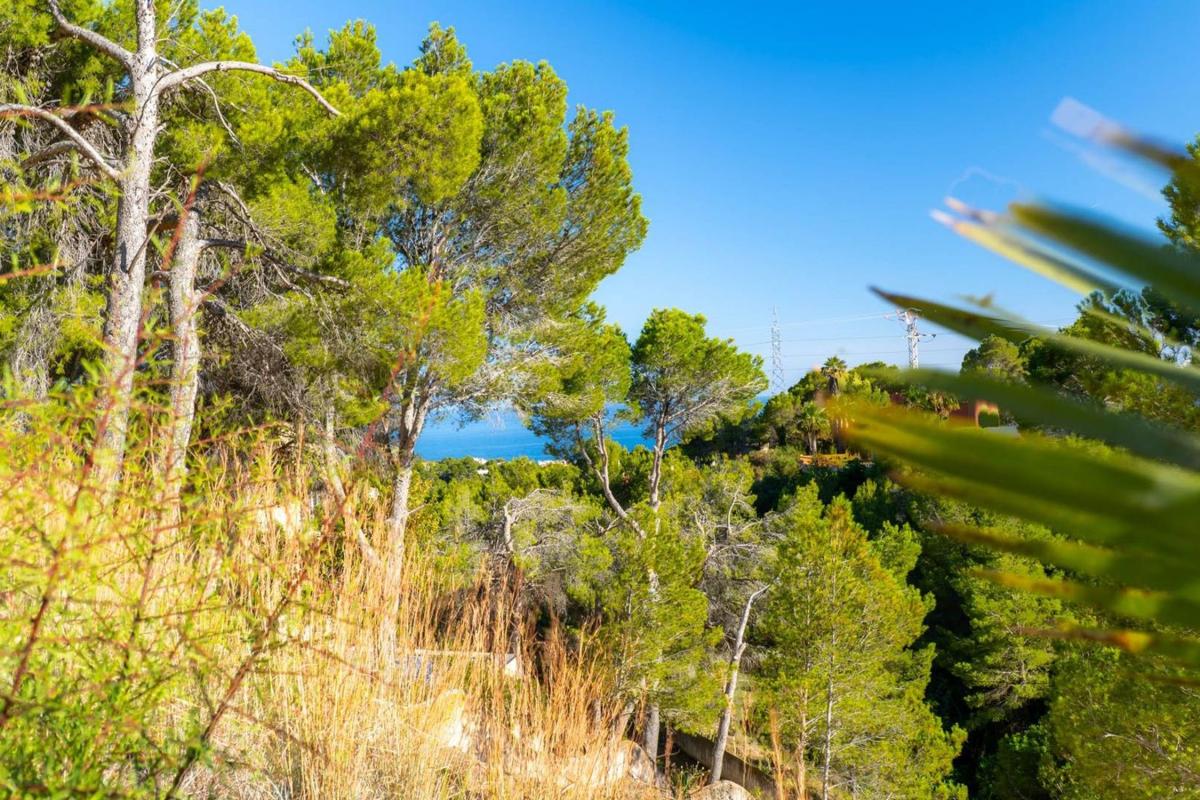 Land for sale in Altea, Alicante photo 2
