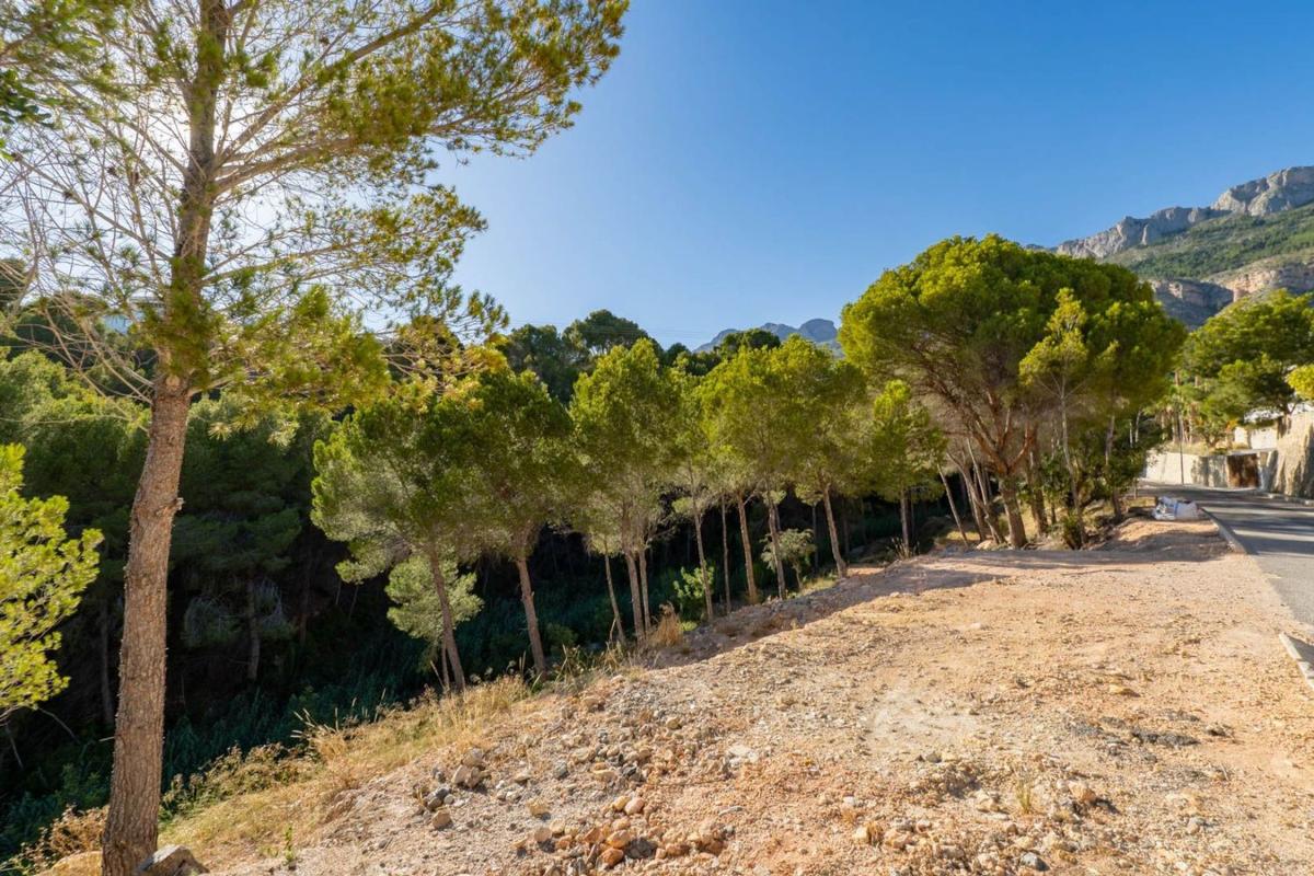 Land for sale in Altea, Alicante photo 4