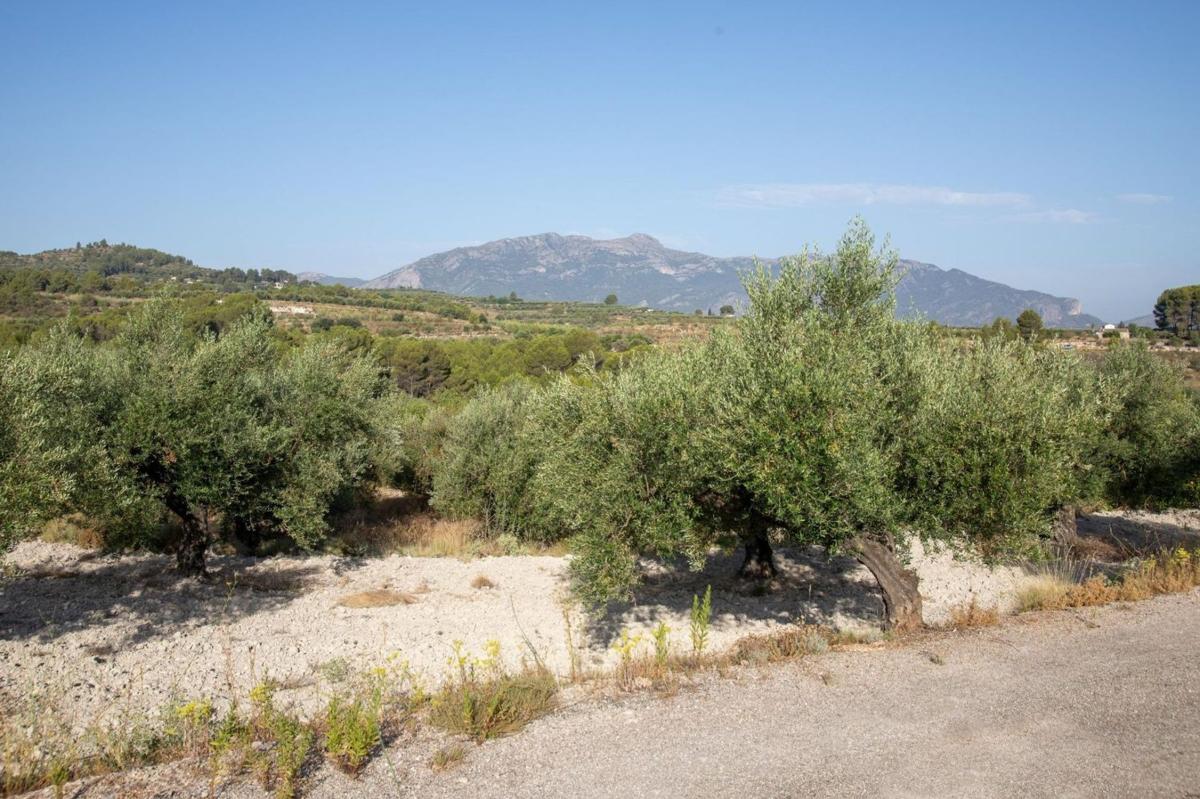 Terreno en venta en Almudaina, Alicante photo 2