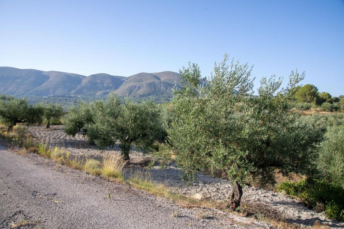 Terreno en venta en Almudaina, Alicante photo 3