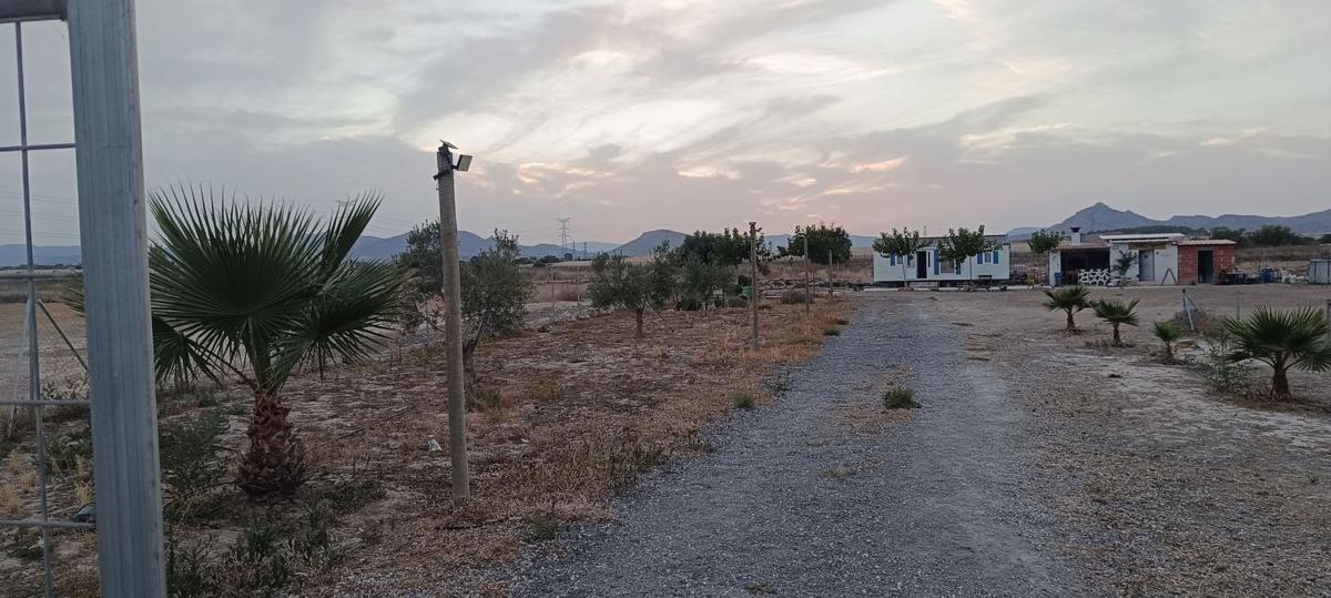 Terreno en venta en Monforte del Cid, Alicante photo 2